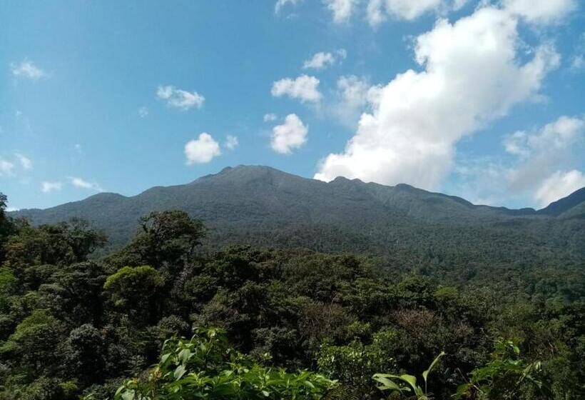 住宿加早餐  Posada Rio Celeste In