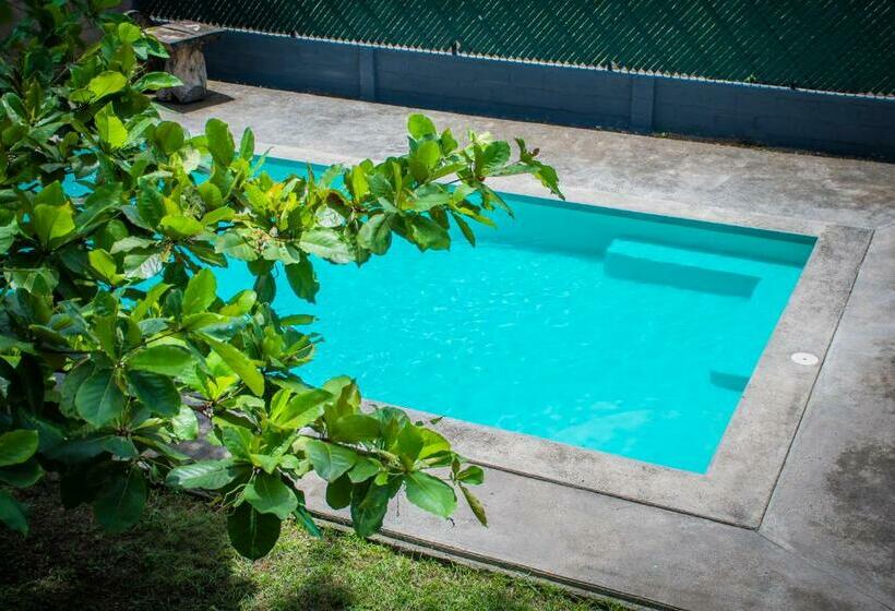 هتل Hostal Don Luis