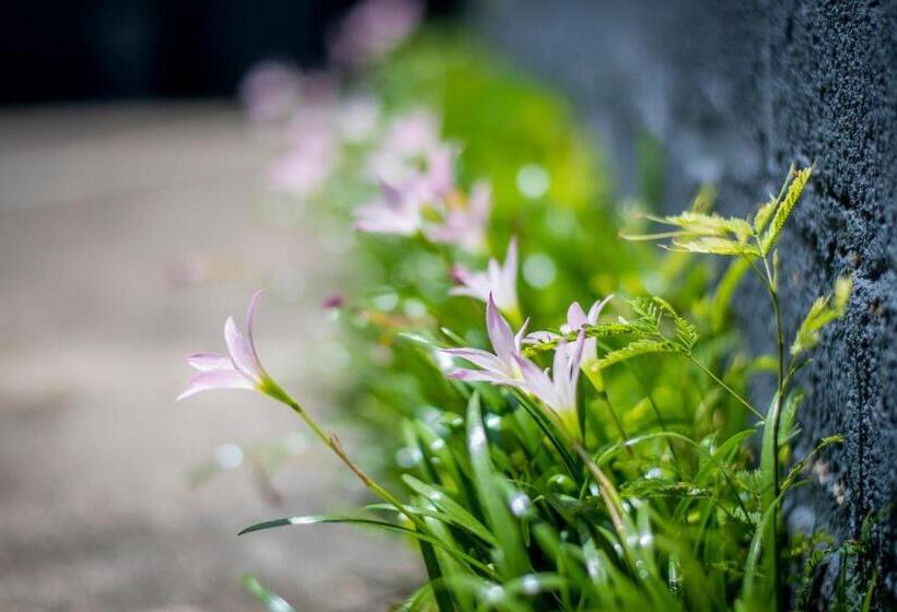 هتل Hostal Don Luis