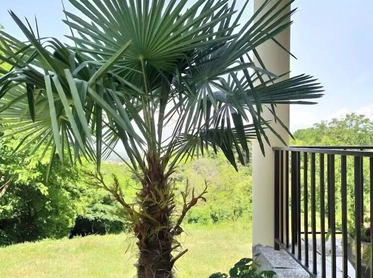 پانسیون Shanshe