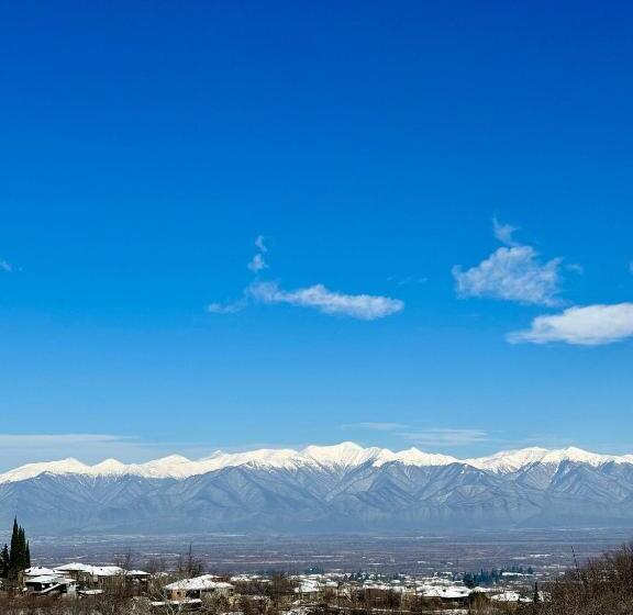 پانسیون Shanshe