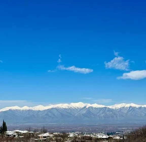 پانسیون Shanshe