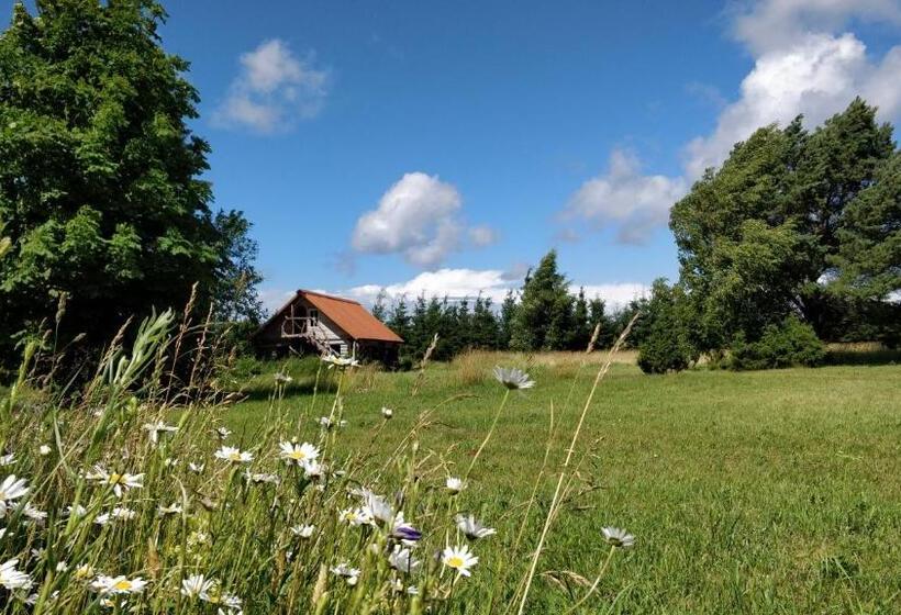 پانسیون Suurekivi Külalistemaja