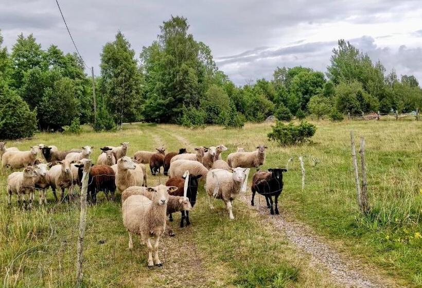 پانسیون Suurekivi Külalistemaja