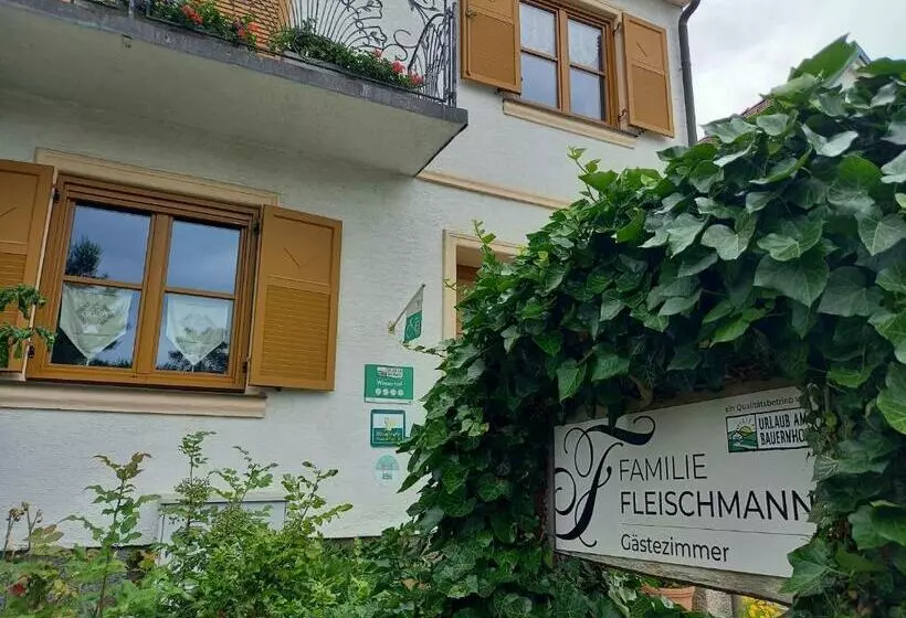 Pensiune Winzerhof Fleischmann