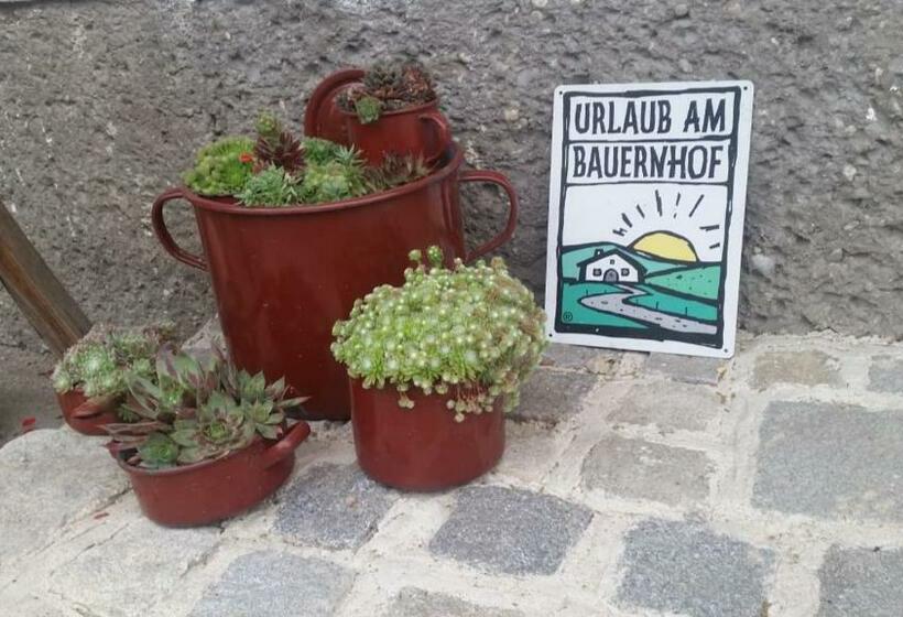 膳宿费 Winzerhof Fleischmann