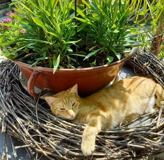 膳宿费 Winzerhof Fleischmann