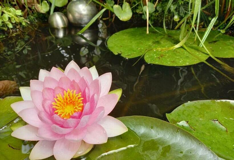 膳宿费 Winzerhof Fleischmann