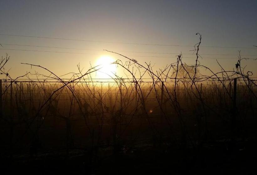 膳宿费 Winzerhof Fleischmann