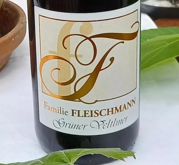 Pensiune Winzerhof Fleischmann