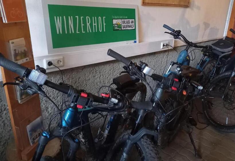 膳宿费 Winzerhof Fleischmann