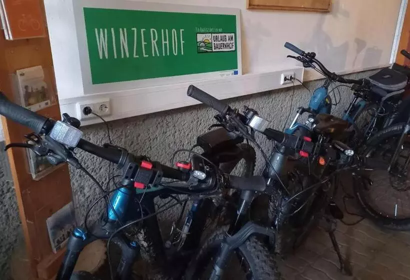Pensiune Winzerhof Fleischmann