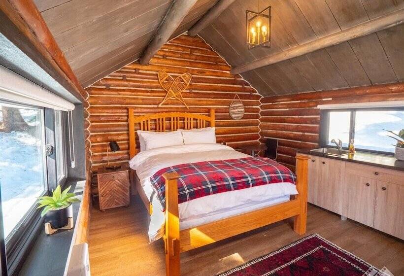 渡假胜地 Chute Lake Lodge