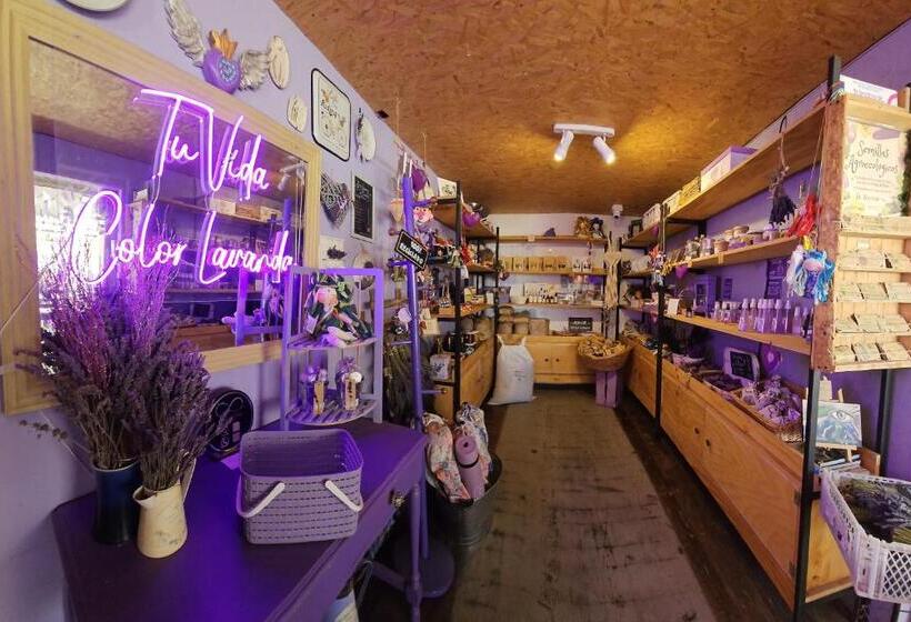 تختخواب و صبحانه Lavanda Del Valle