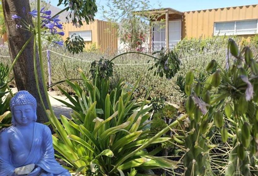 تختخواب و صبحانه Lavanda Del Valle