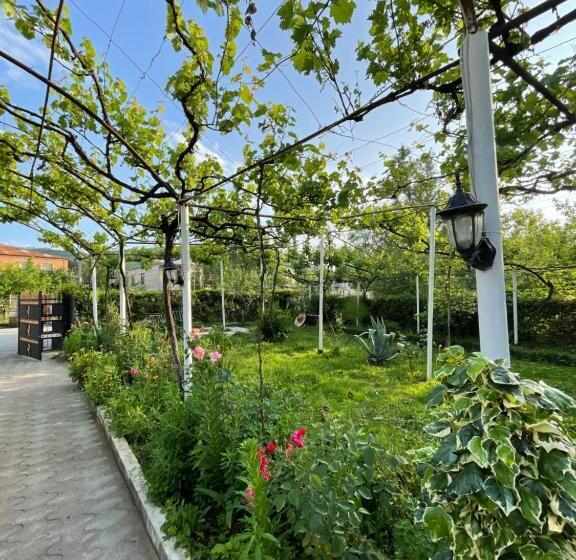 تختخواب و صبحانه Zaali S Wine Cellar