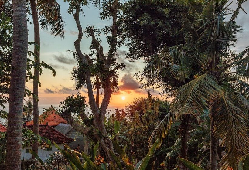 Пансион Green Valley Bungalow