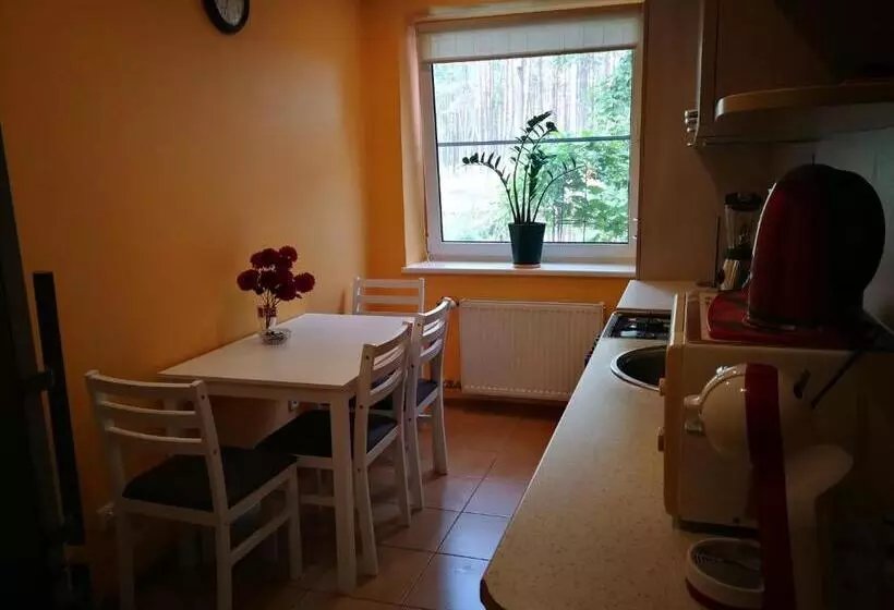 پانسیون Svečių Namai Pervalkoje