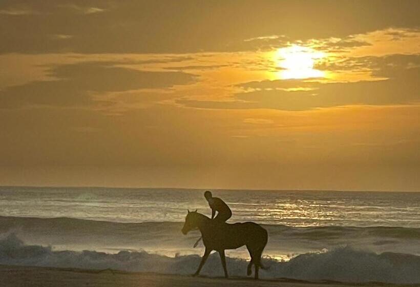 펜션 Villa Alfredo Marchetti Nº13 A Suites On The Beach, Praia De Chaves, Boa Vista