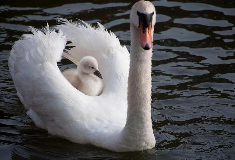 צימר M&m Bed&bubbles