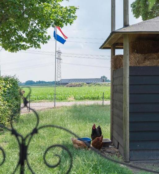 Отель Oud Drimmelen