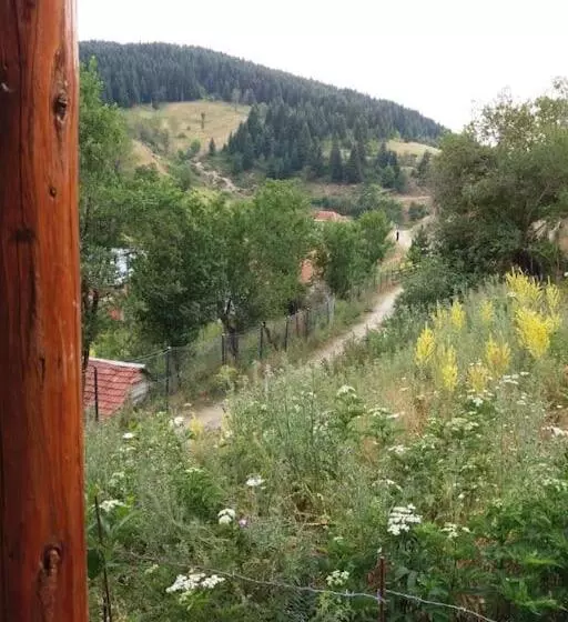 پانسیون Villa Vrben