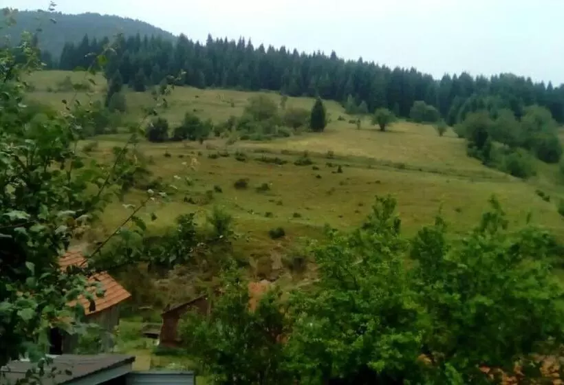 پانسیون Villa Vrben