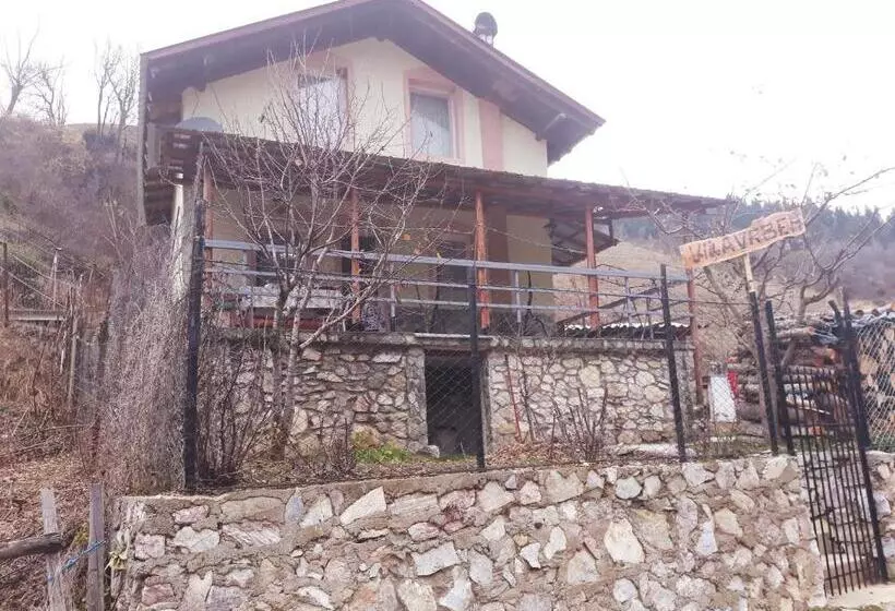 پانسیون Villa Vrben