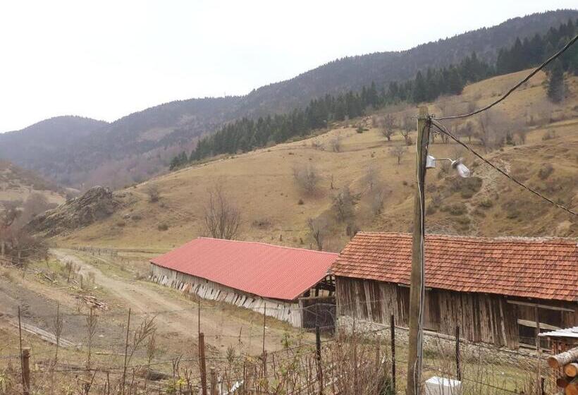 پانسیون Villa Vrben