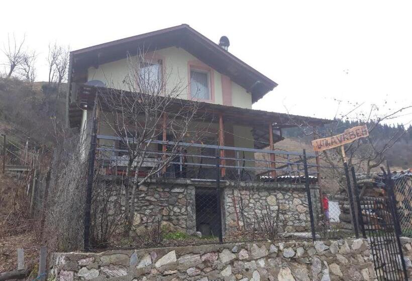 پانسیون Villa Vrben