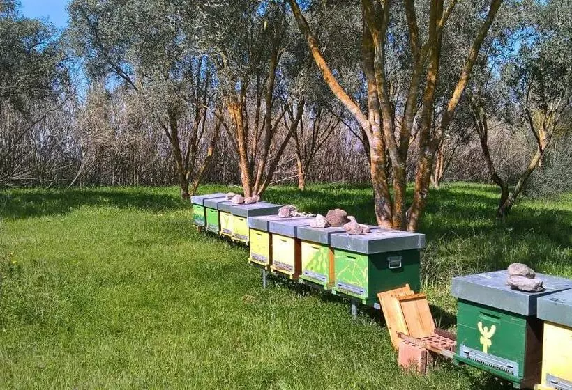 B&b Terra E Paglia