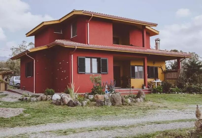B&b Terra E Paglia