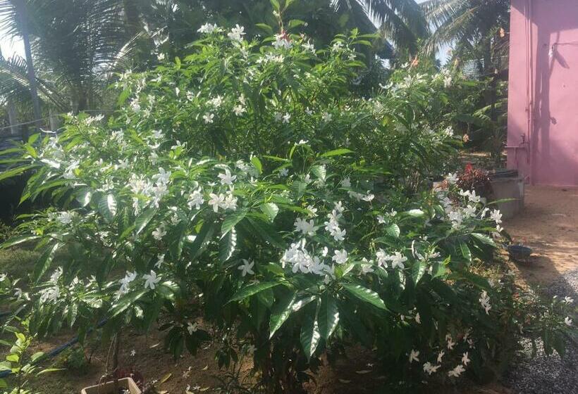 모텔 Kalkudah Budget