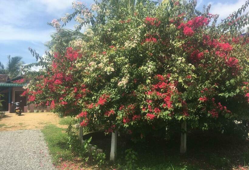 모텔 Kalkudah Budget