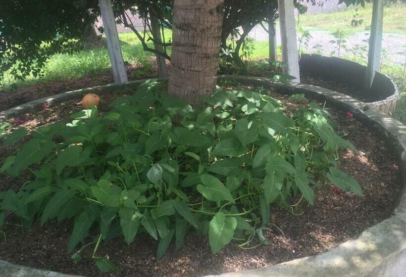 모텔 Kalkudah Budget