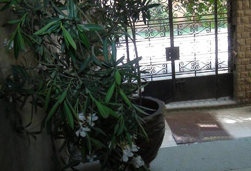 پانسیون Grand Museum Guest House