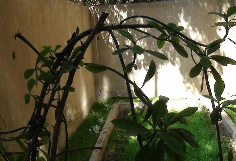 پانسیون Grand Museum Guest House