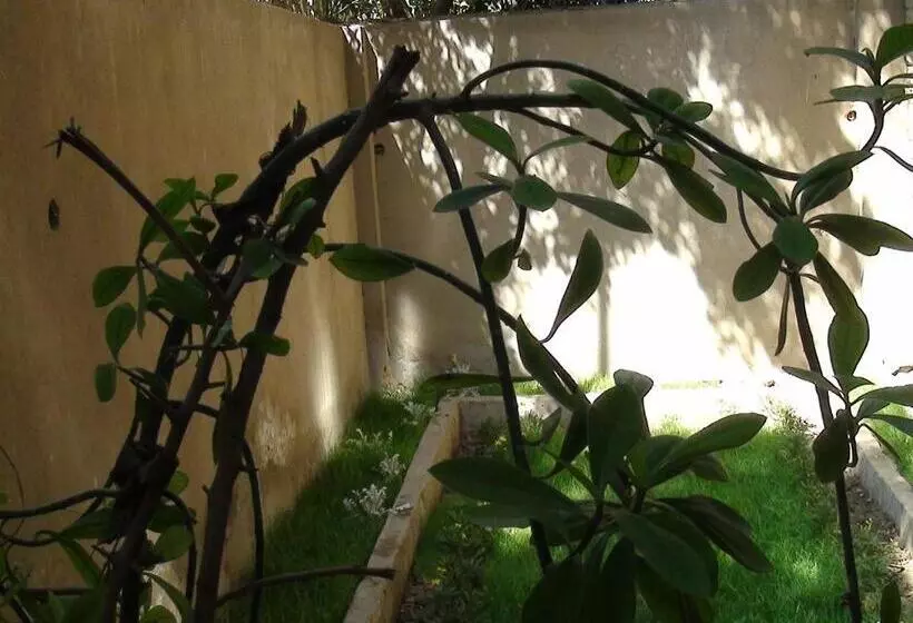 پانسیون Grand Museum Guest House