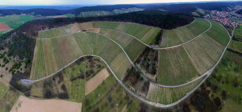 펜션 Gästehaus Ingrid