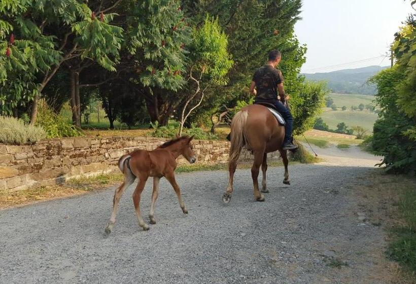 酒店 Agriturismo Corte Del Gallo