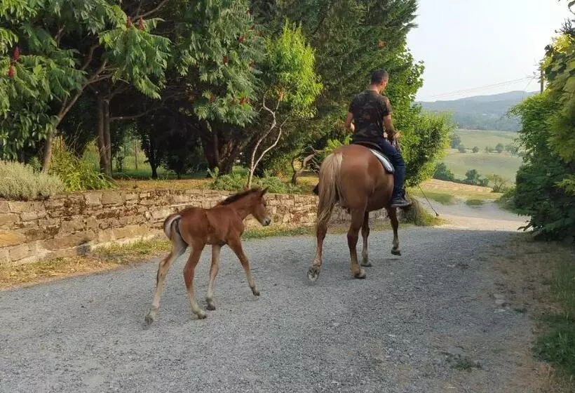 ホテル Agriturismo Corte Del Gallo