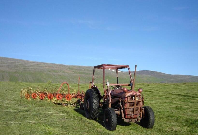 هتل Dæli Guesthouse