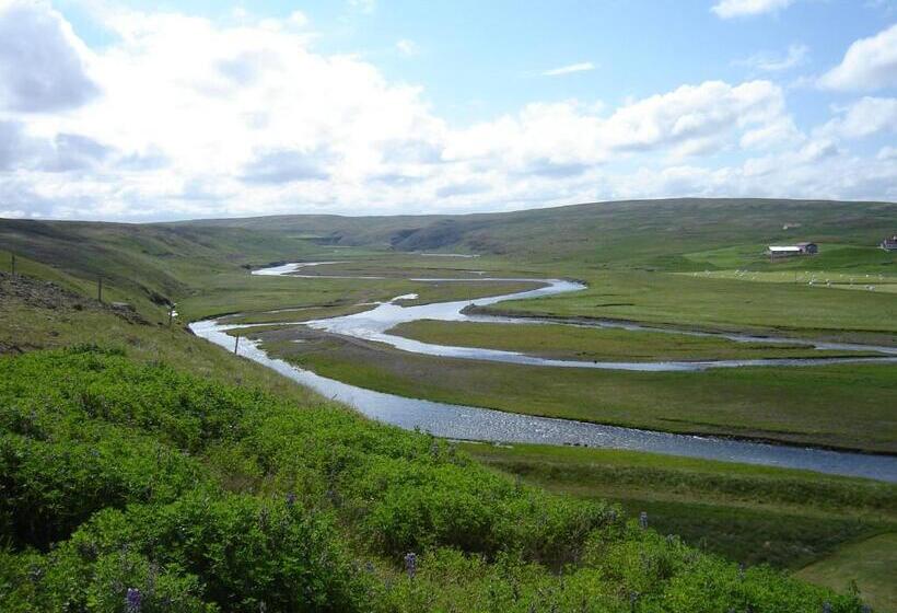 هتل Dæli Guesthouse