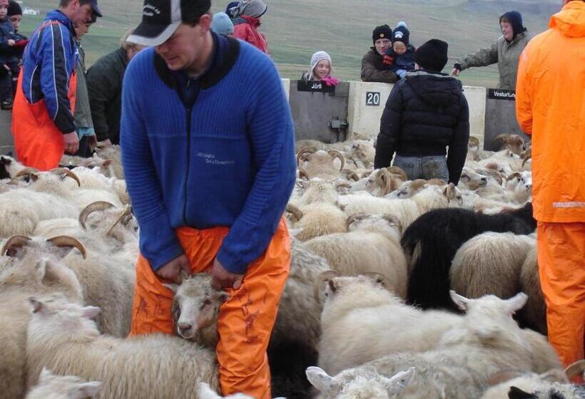 هتل Dæli Guesthouse