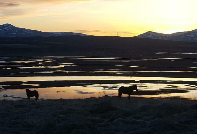 هتل Hofsstadir Farmhouse