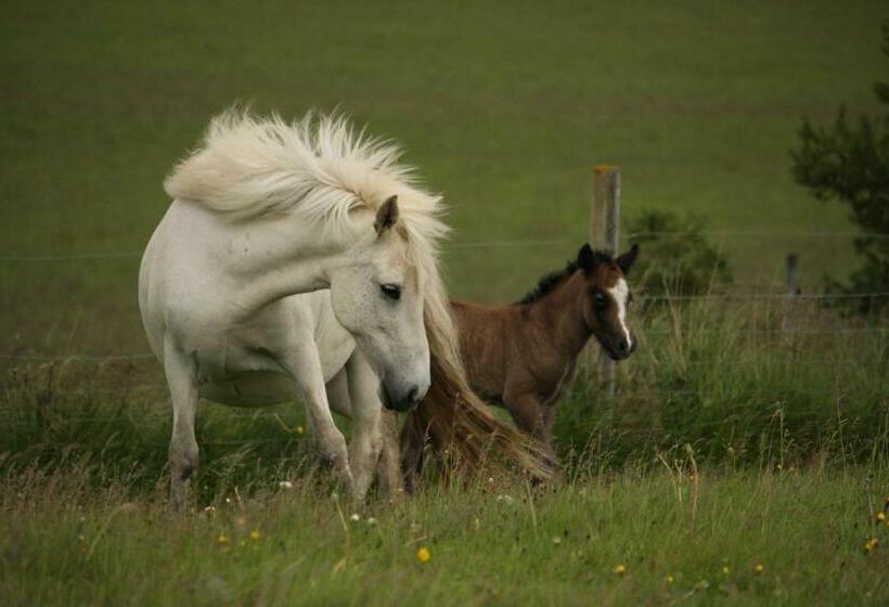 هتل Hofsstadir Farmhouse