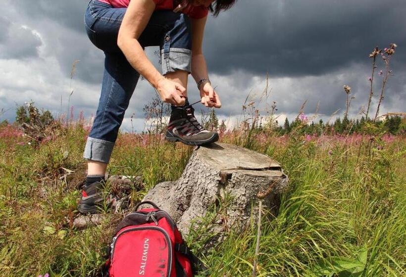 Пансион Landhaus Sonnentau