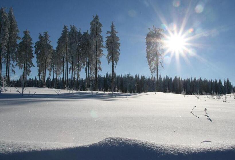 Пансион Landhaus Sonnentau
