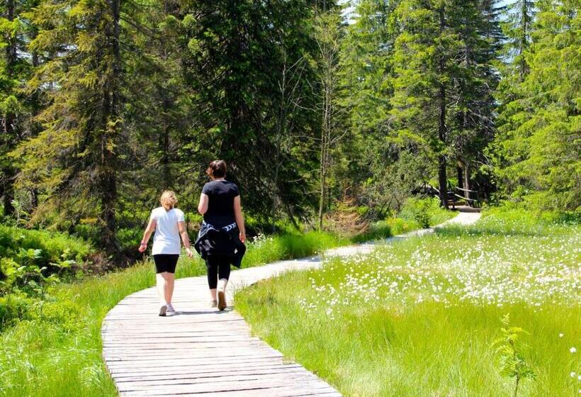Пансион Landhaus Sonnentau