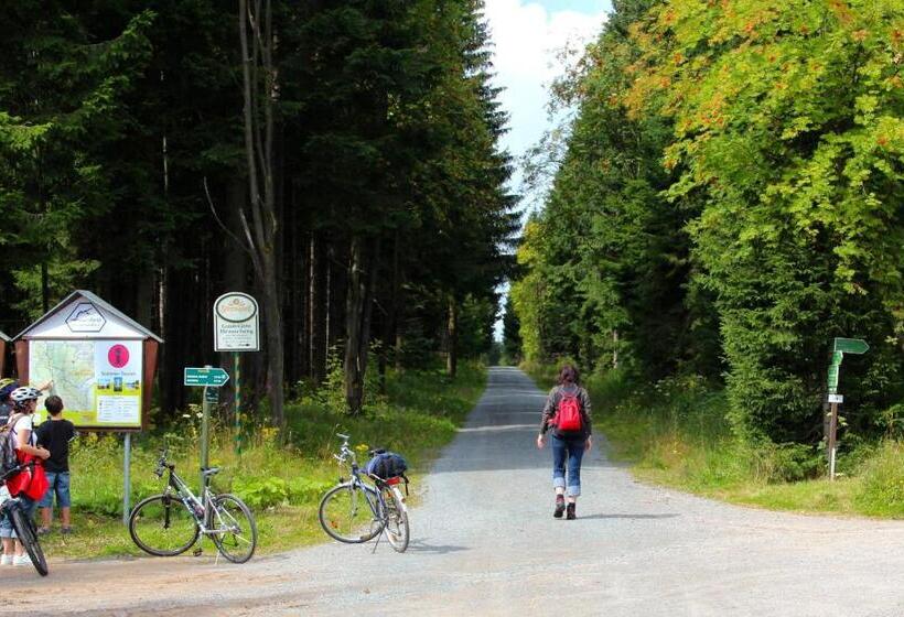 Пансион Landhaus Sonnentau